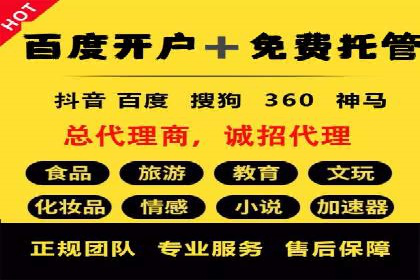 百度竞价赚钱的技巧与成功案例探讨